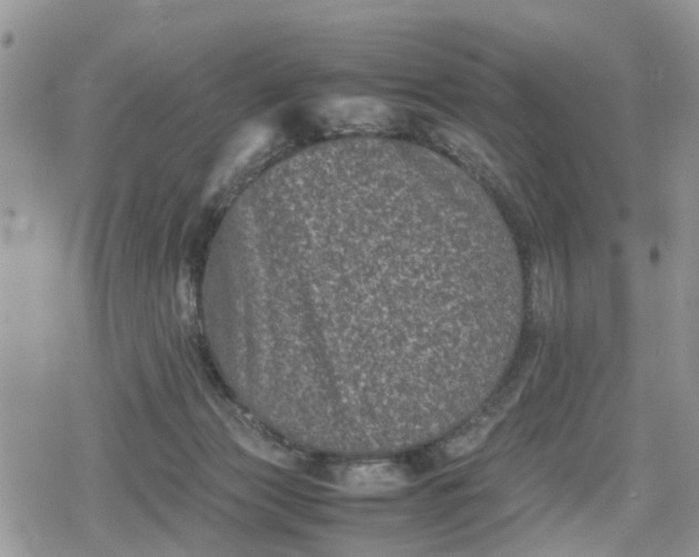 X0000078860173200611271421