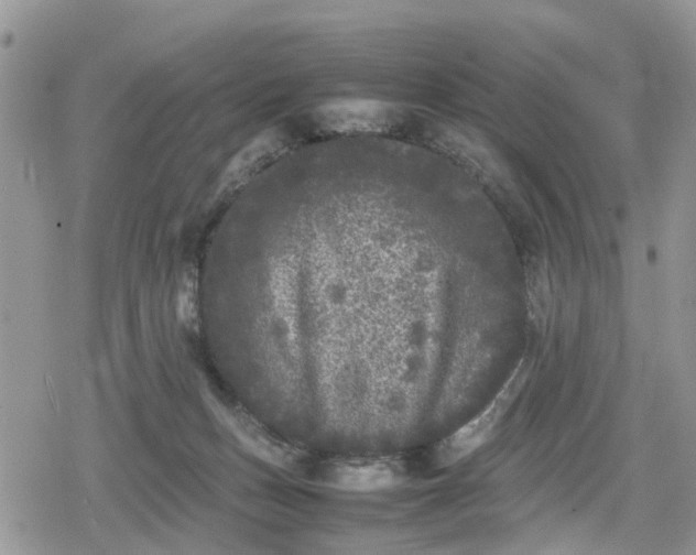 X0000078860175200611271421