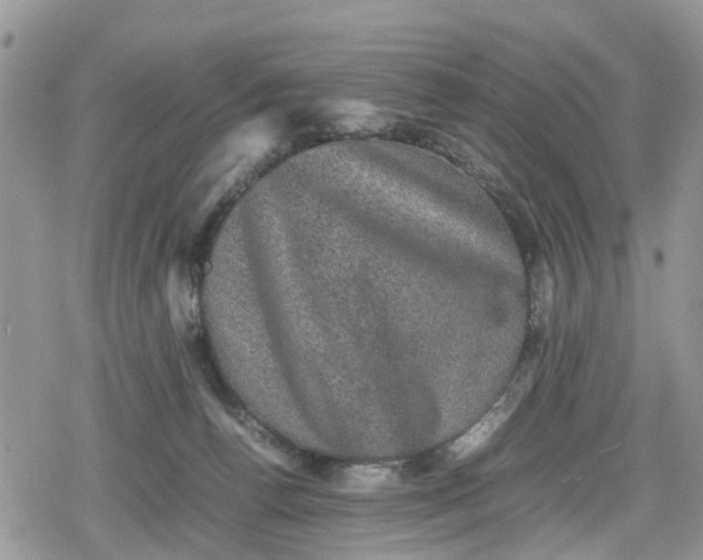 X0000078860176200611271421