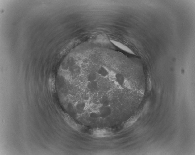 X0000078860177200611271421