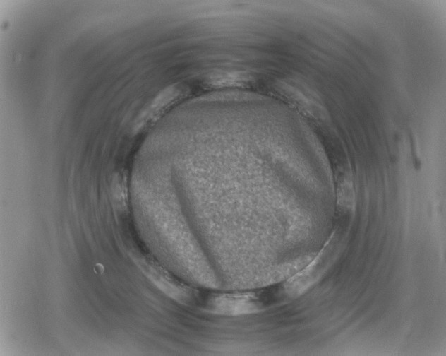 X0000078860179200611271421