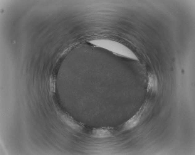 X0000078860180200611271421