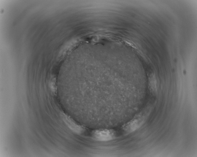 X0000078860181200611271421