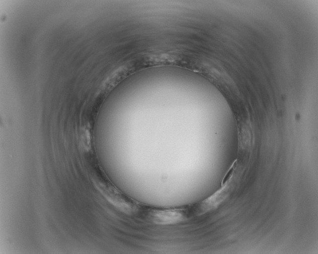 X0000078860183200611271421