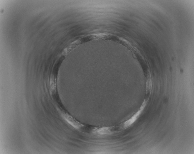 X0000078860186200611271421