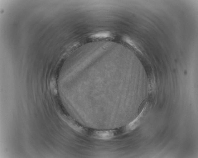 X0000078860187200611271421