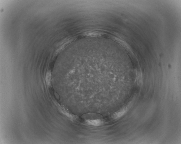 X0000078860189200611271421