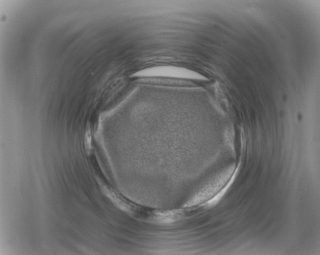 X0000078860190200611271421