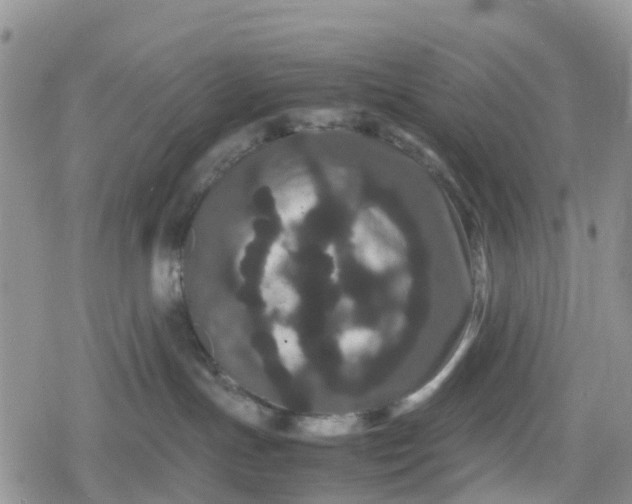 X0000078860191200611271421