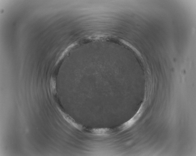 X0000078860192200611271421