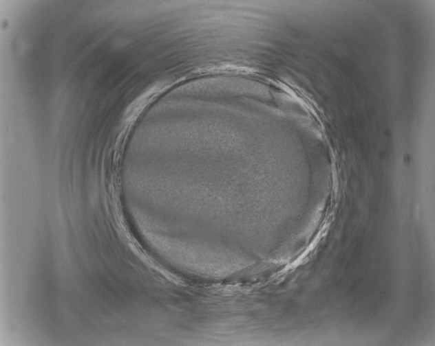 X0000078860193200611271420