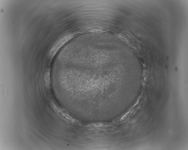 X0000078860194200611271420