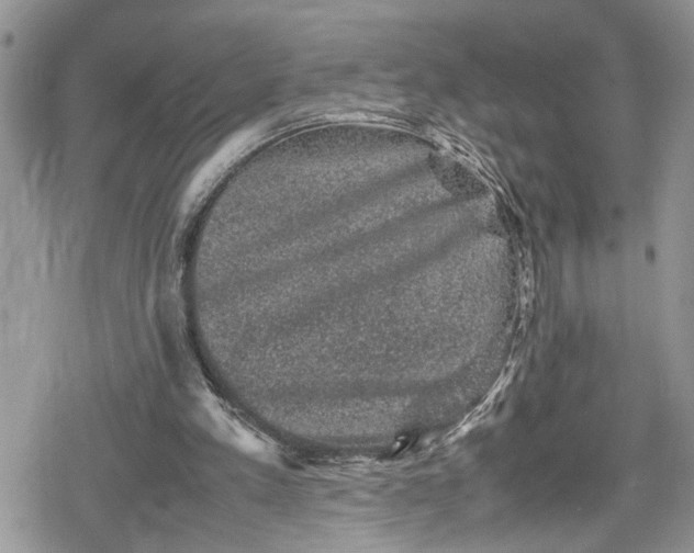 X0000078860197200611271420