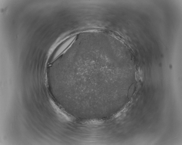 X0000078860198200611271420