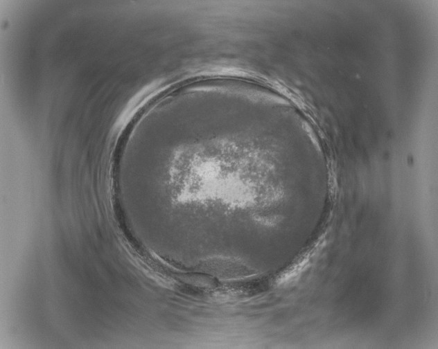 X0000078860199200611271420