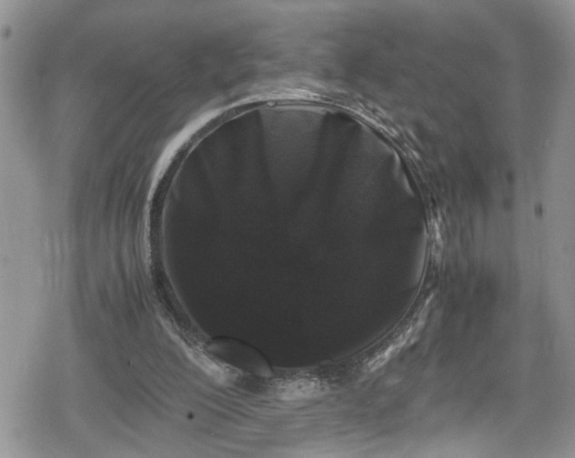 X0000078860200200611271420