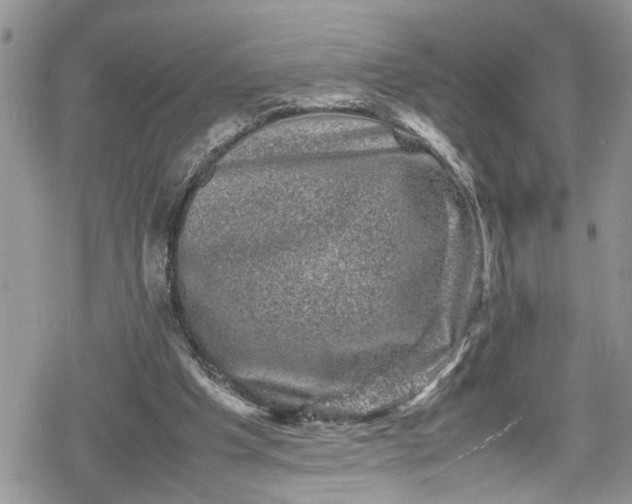 X0000078860201200611271420