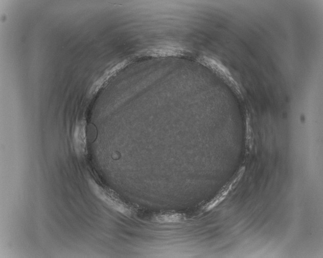 X0000078860202200611271420