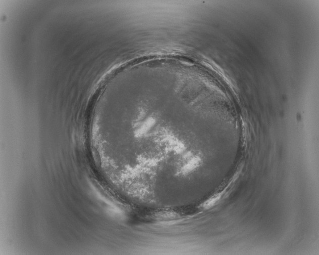 X0000078860203200611271420