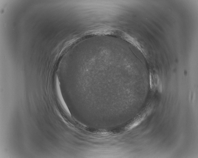 X0000078860205200611271420