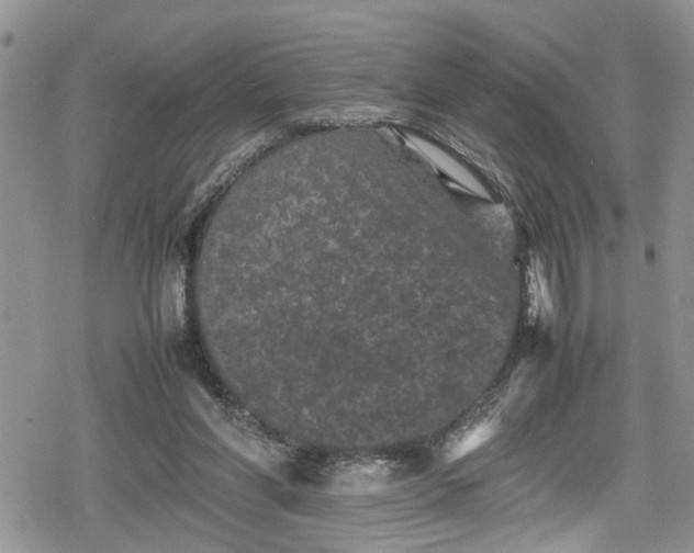 X0000078860206200611271420