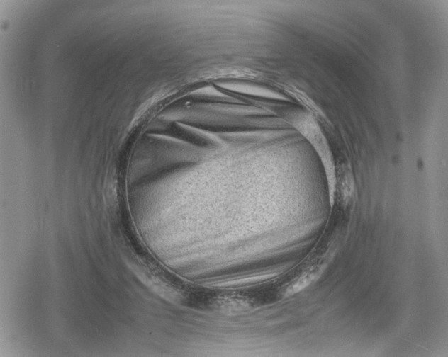 X0000078860207200611271420