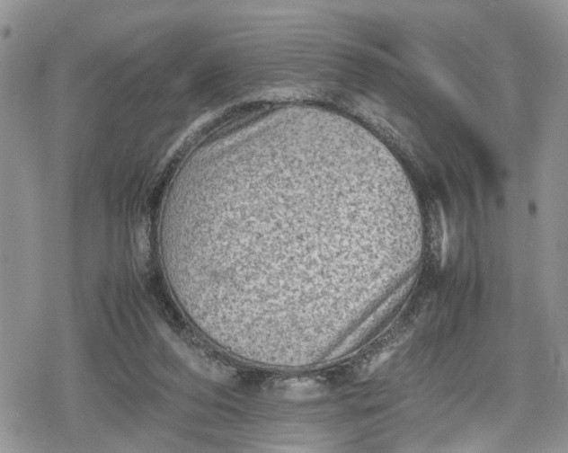 X0000078860208200611271420