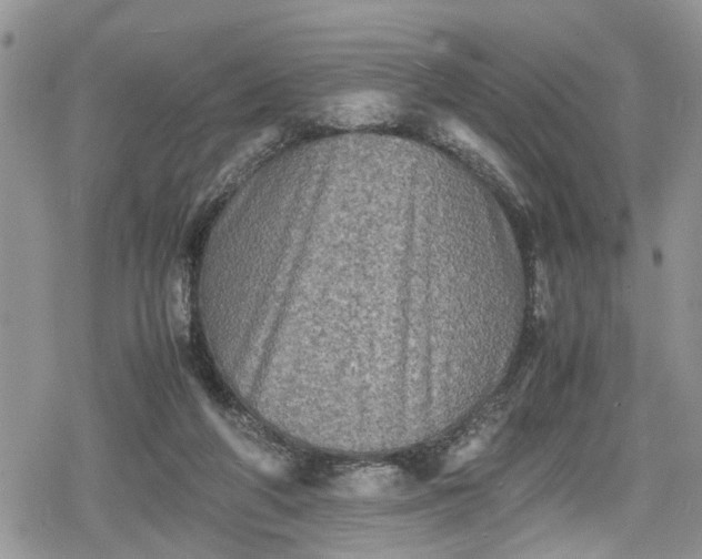 X0000078860210200611271420