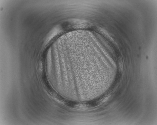 X0000078860211200611271420