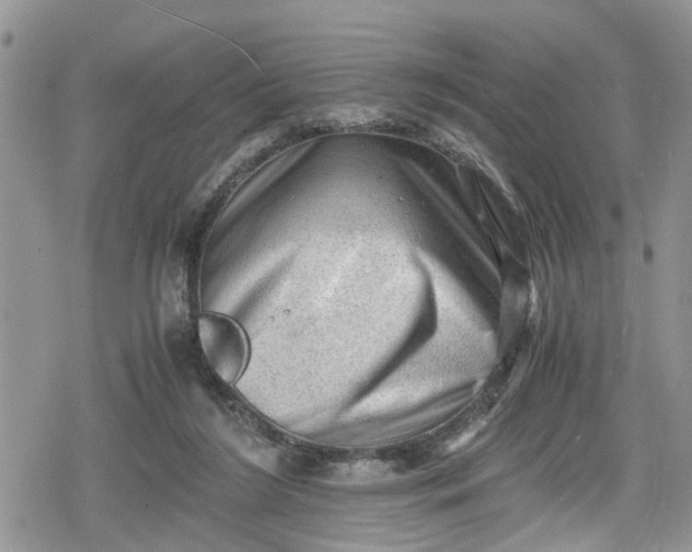 X0000078860212200611271420