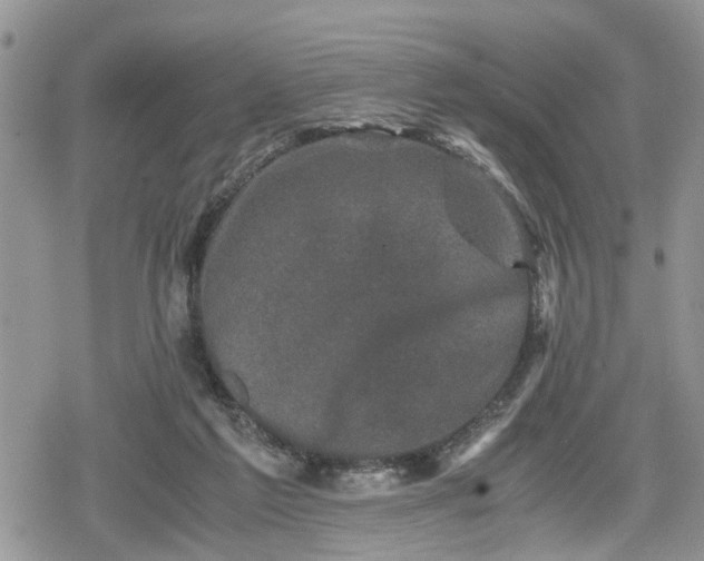 X0000078860213200611271420