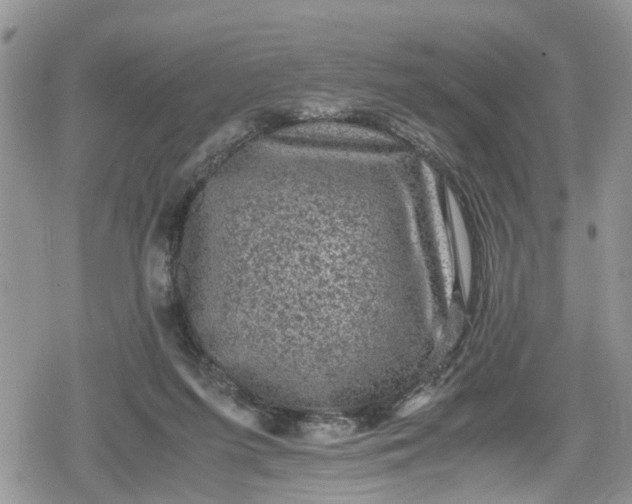 X0000078860215200611271420