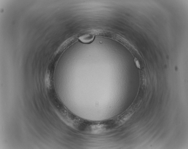 X0000078860216200611271420