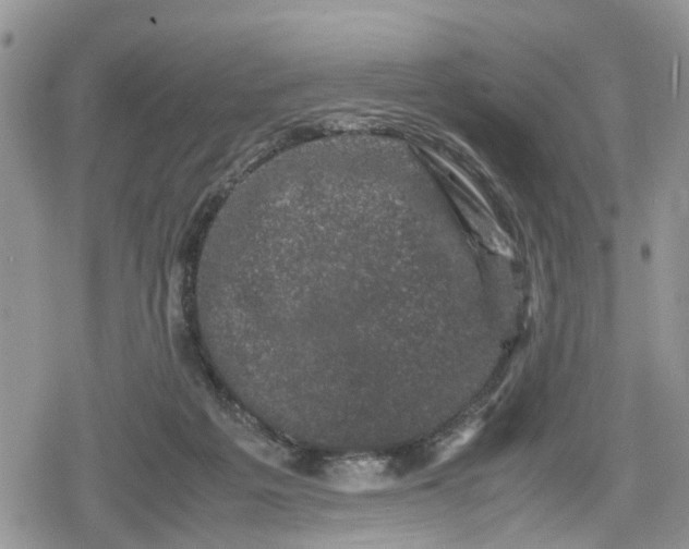 X0000078860217200611271420