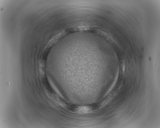 X0000078860218200611271420