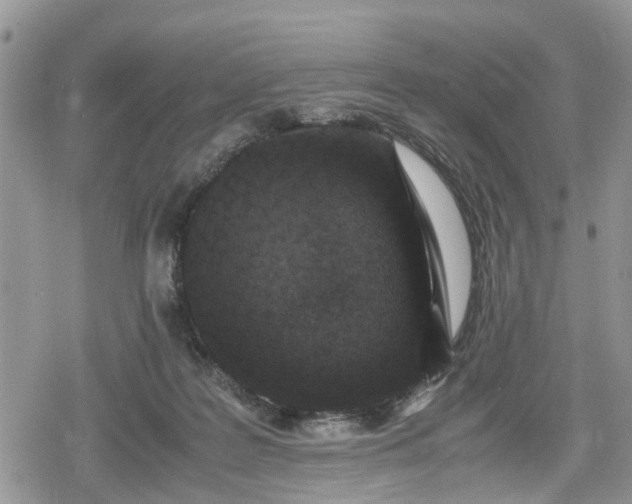 X0000078860219200611271420