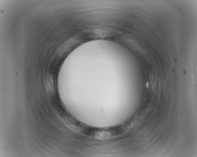 X0000078860220200611271420