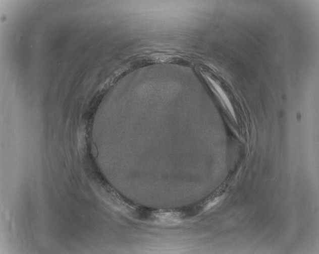 X0000078860221200611271420