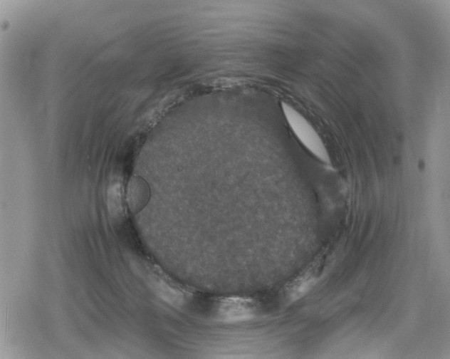 X0000078860222200611271420