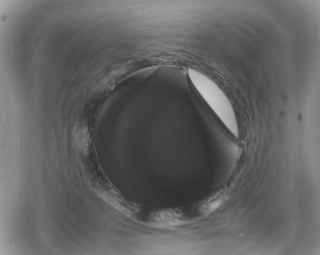 X0000078860223200611271420