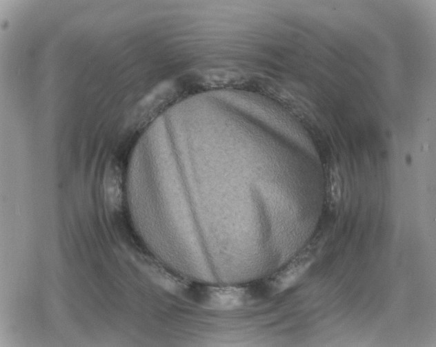 X0000078860226200611271420