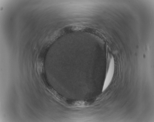 X0000078860227200611271420