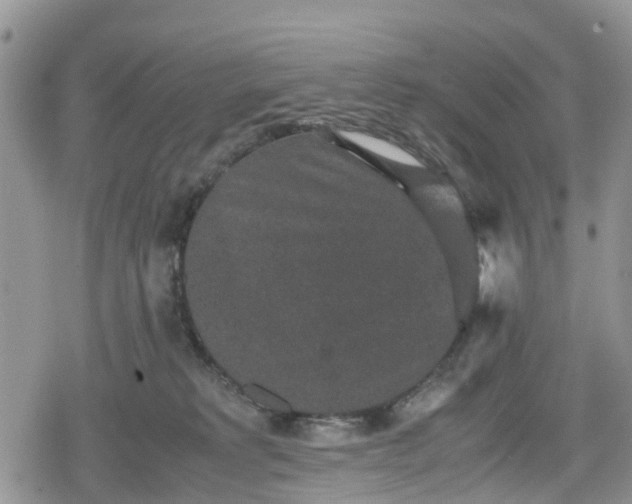 X0000078860229200611271420