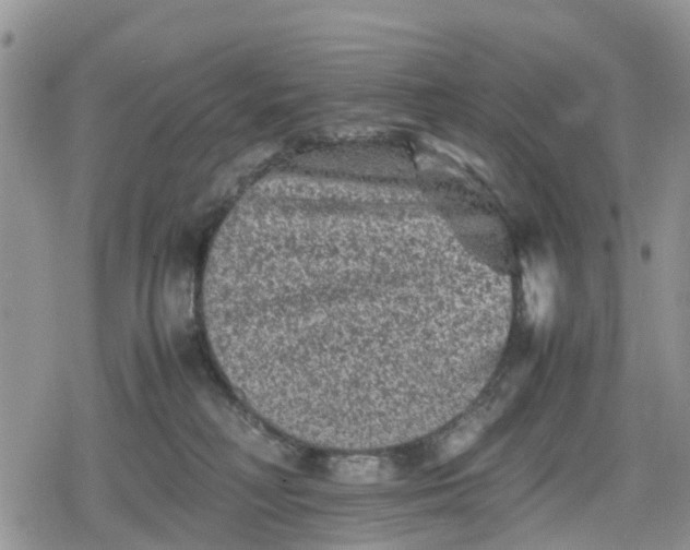 X0000078860230200611271420