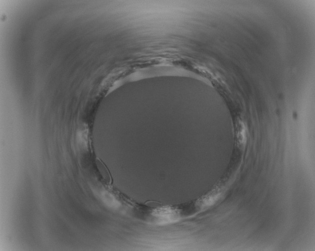 X0000078860231200611271420