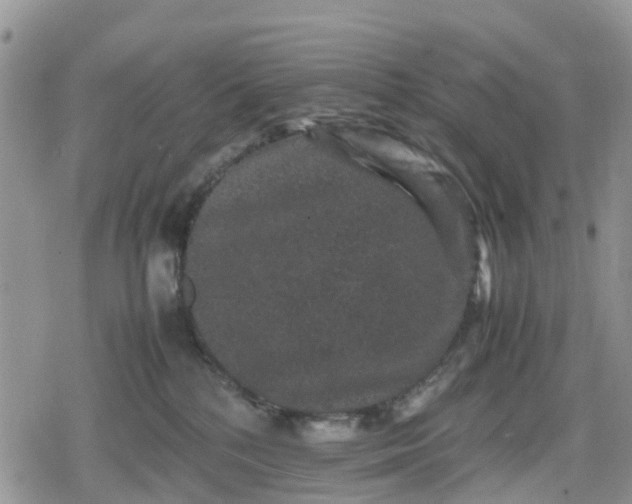 X0000078860232200611271420