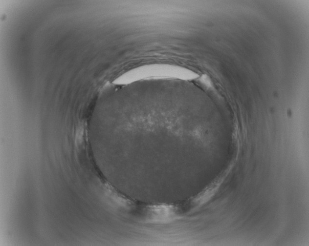 X0000078860233200611271420