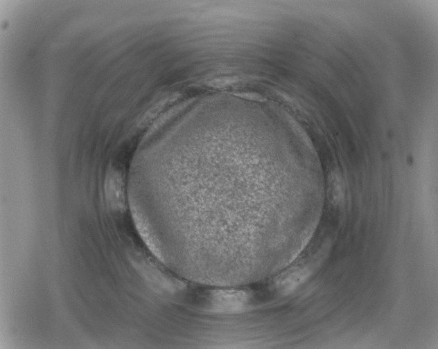 X0000078860234200611271419