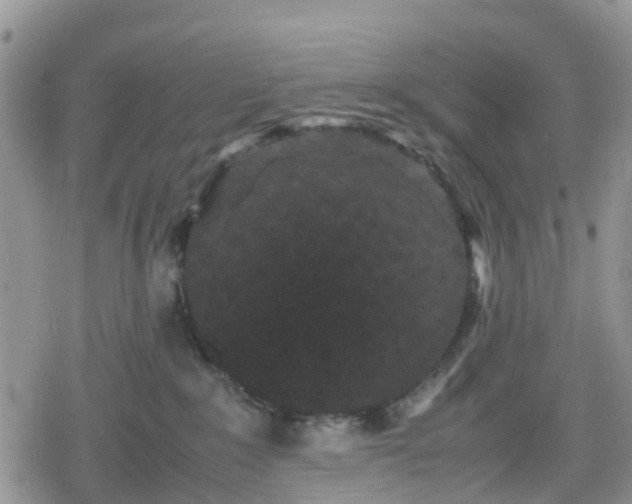 X0000078860235200611271419