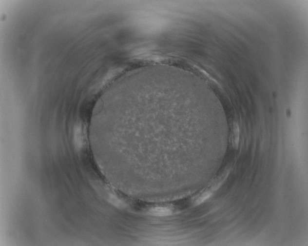 X0000078860236200611271419